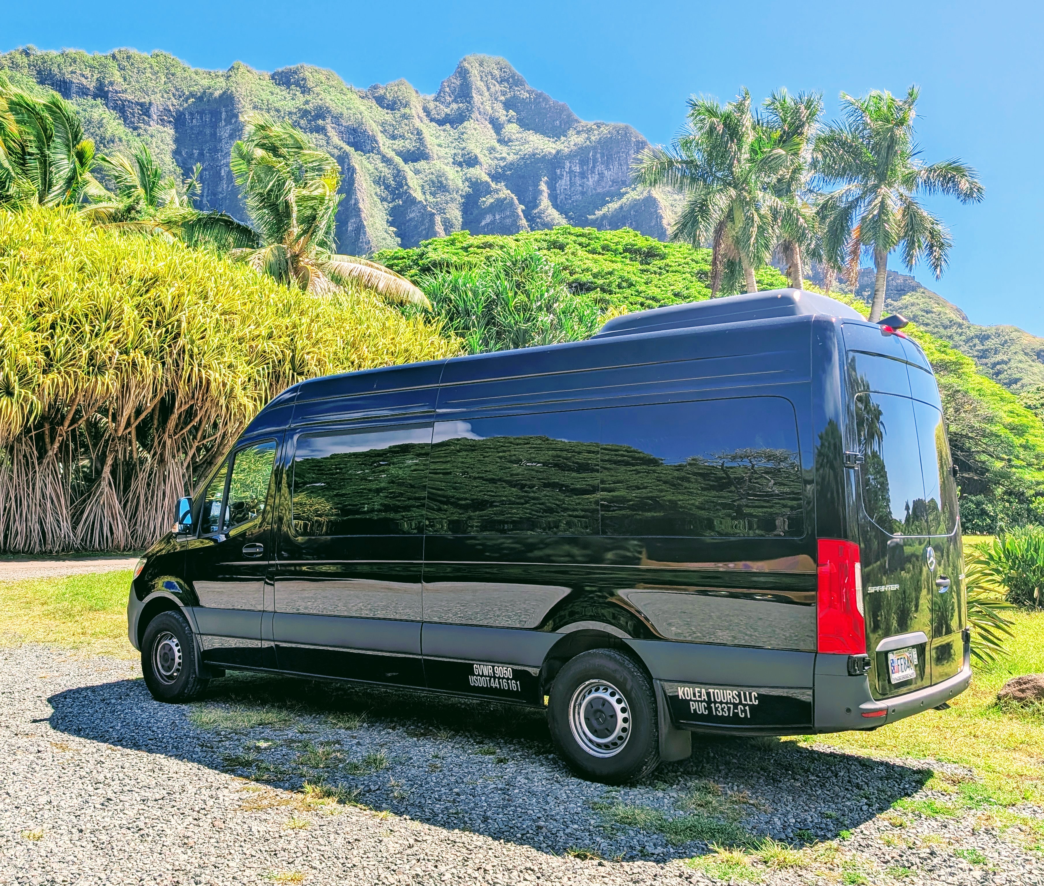 Mercedes Sprinter Private Tour Oahu