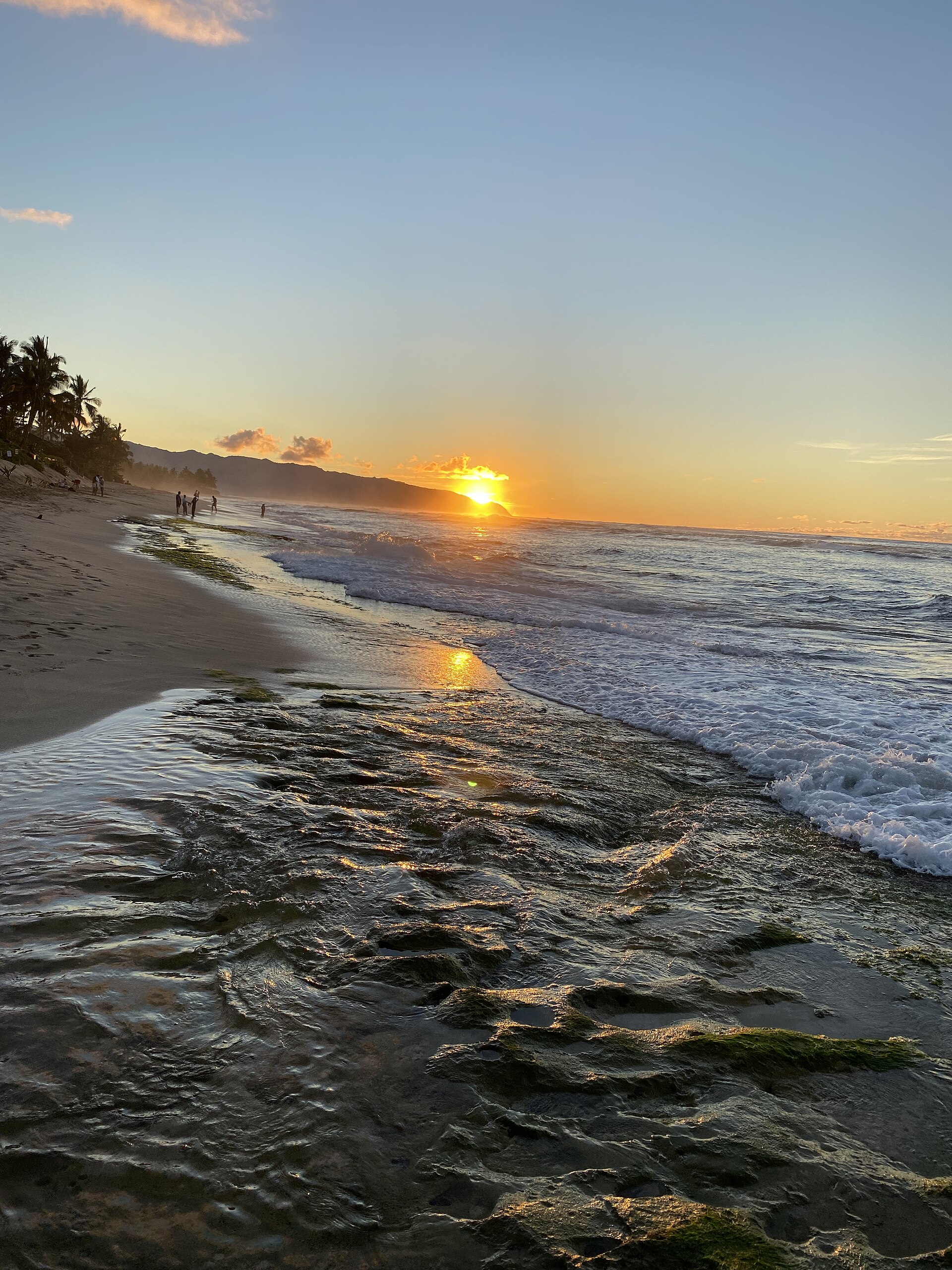 Laniakea Beach, Oahu — Hawaiian green sea turtle honu resting on the sand on the North Shore near Haleiwa